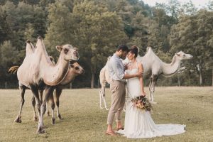 Styled Shoot: Marokko Stil und Kamel-Liebe