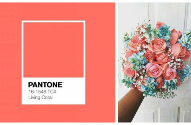 Pantone Image living Coral